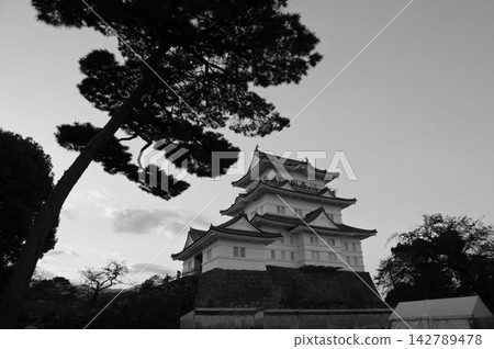 Odawara Castle's main tower (2) Odawara Castle's main tower (2) 142789478