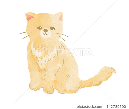 A watercolor-style illustration of a sitting brown cat. A watercolor-style illustration of a sitting brown cat. 142789500