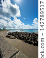 Funagata Coast 142789517