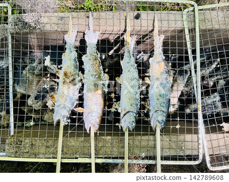 燒烤架上用鹽烤的河魚(木炭烤製,用烤串串起來,無人觀看)。 燒烤架上用鹽烤的河魚(木炭烤製,用烤串串起來,無人觀看)。 142789608