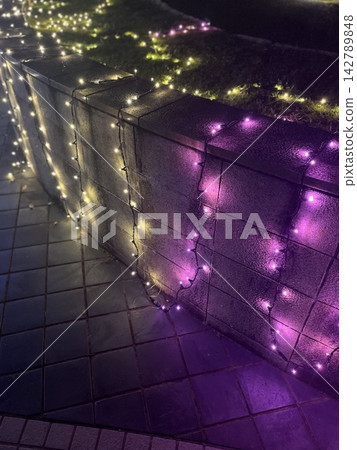 The city lights up at night The city lights up at night 142789848