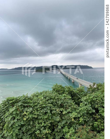 Kakushima Bridge 142789868