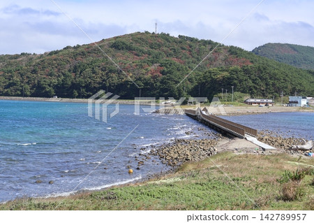 從夏泊半島的大島眺望 142789957