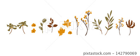Autumn Plants and Leaf Natural Frame Border Set Autumn Plants and Leaf Natural Frame Border Set 142790069
