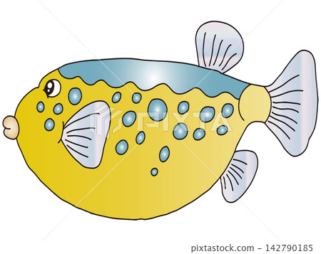 Hand-drawn animal illustration ☆ Pufferfish Hand-drawn animal illustration ☆ Pufferfish 142790185