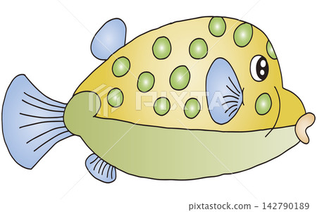手繪動物插畫 ☆ 河豚 手繪動物插畫 ☆ 河豚 142790189