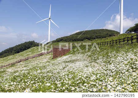 Scenery of Yukbaekmajigi on Mt. Cheongok Scenery of Yukbaekmajigi on Mt. Cheongok 142790195