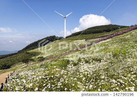 Scenery of Yukbaekmajigi on Mt. Cheongok Scenery of Yukbaekmajigi on Mt. Cheongok 142790196