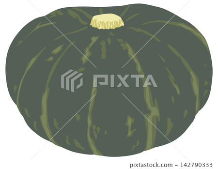 Pumpkin illustration Pumpkin illustration 142790333