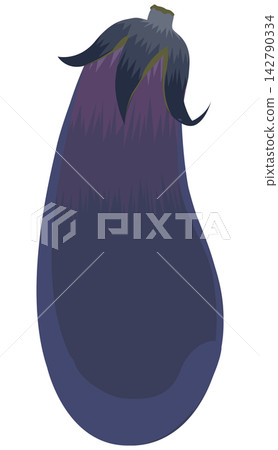 Eggplant illustration Eggplant illustration 142790334