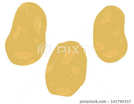 土豆的插圖 142790337