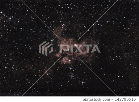 群集孤挺花 群集孤挺花 142790510