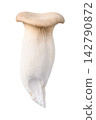 Fresh king oyster mushroom (eryngii) isolated on white background 142790872