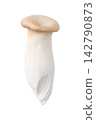Fresh king oyster mushroom (eryngii) isolated on white background 142790873