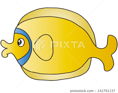 Hand-drawn fish illustrations ☆ Colorful fish 142791137