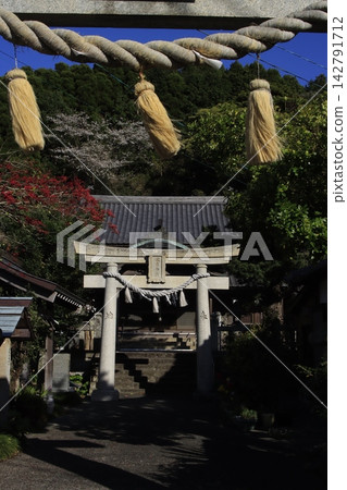 沐浴在春日陽光下的神社 沐浴在春日陽光下的神社 142791712