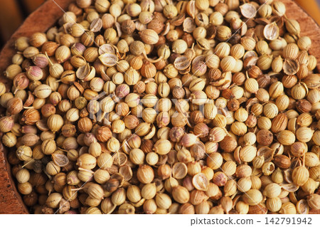 Coriander seeds are gathered in a bowl on a wooden surface Coriander seeds are gathered in a bowl on a wooden surface 142791942