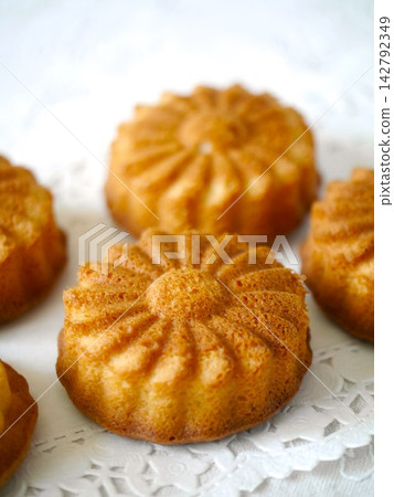 瑪格麗特式的維西坦丁 瑪格麗特式的維西坦丁 142792349