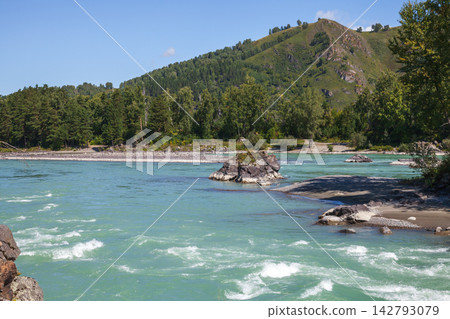 Wide turquoise Katun river flowing around rocky outcrops with dense pine forest Wide turquoise Katun river flowing around rocky outcrops with dense pine forest 142793079