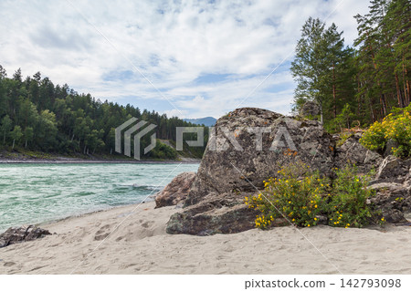 Landscape photography taken on a summer day at the rocky coast of Katun river. Altai 142793098