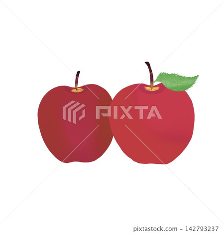 兩顆蘋果的插圖 142793237