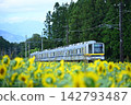向日葵田和東武鐵道 142793487