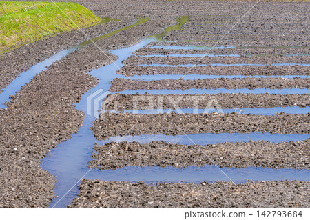 農村田野中的灌溉渠道和積水溝渠 農村田野中的灌溉渠道和積水溝渠 142793684
