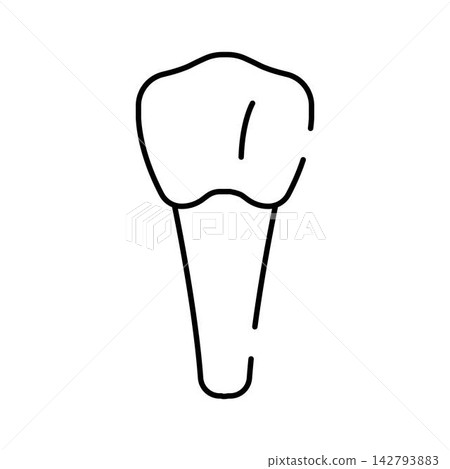 Human tooth icon illustrating dental health anatomy Human tooth icon illustrating dental health anatomy 142793883