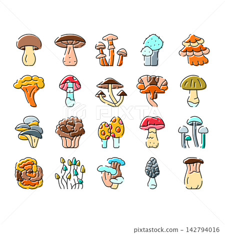 Different edible and poisonous mushroom fungi collecting icons 142794016