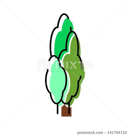 Green cypress tree evergreen plant icon vector Green cypress tree evergreen plant icon vector 142794150