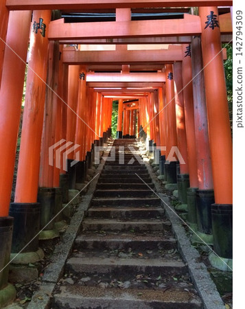 伏見Inari Taisha 伏見Inari Taisha 142794309