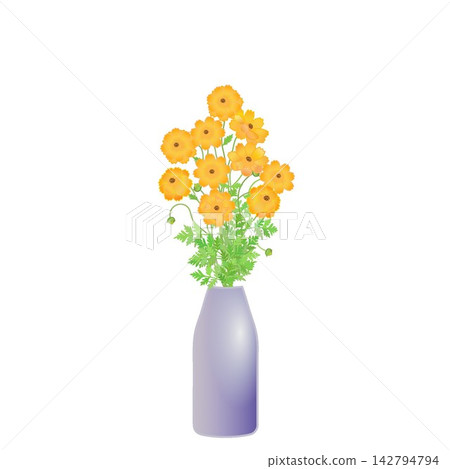 An illustration of yellow cosmos flowers in a vase. An illustration of yellow cosmos flowers in a vase. 142794794