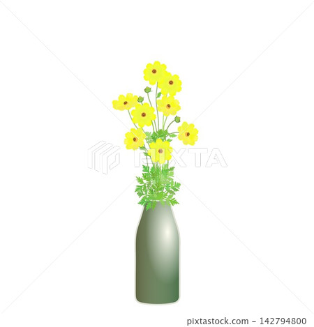 An illustration of yellow cosmos flowers in a vase. An illustration of yellow cosmos flowers in a vase. 142794800