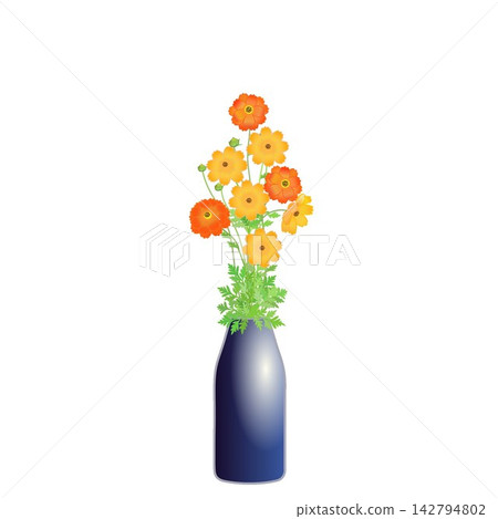 An illustration of yellow cosmos flowers in a vase. An illustration of yellow cosmos flowers in a vase. 142794802