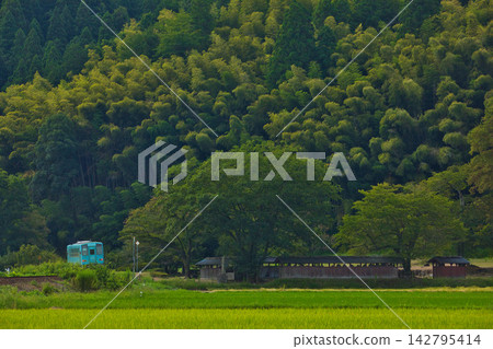 A local train runs through fields ripening with yellow grain. A local train runs through fields ripening with yellow grain. 142795414