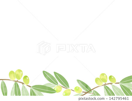 水彩風格的橄欖枝和果實背景插圖。 142795461