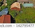 Abandoned houses and row houses covered in weeds and trees; drone photography; aerial photography. 142795477