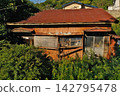 Row houses overgrown with weeds and trees, abandoned for many years; vacant houses/dilapidated buildings 142795478