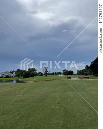Golf course 142795807