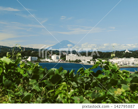 A magnificent view of the blue sky and sea from Sarushima Island, with Mount Fuji towering in the distance. A magnificent view of the blue sky and sea from Sarushima Island, with Mount Fuji towering in the distance. 142795887