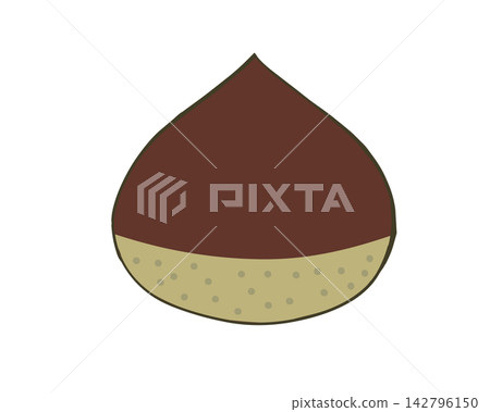Simple chestnut illustration material Simple chestnut illustration material 142796150