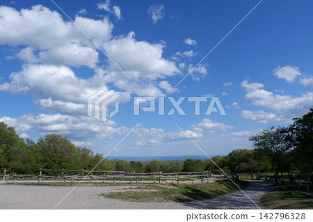 那須高原南丘牧場 那須高原南丘牧場 142796328