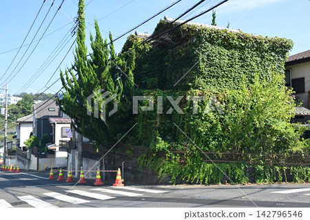 一棟被綠植覆蓋的美麗空房 一棟被綠植覆蓋的美麗空房 142796546