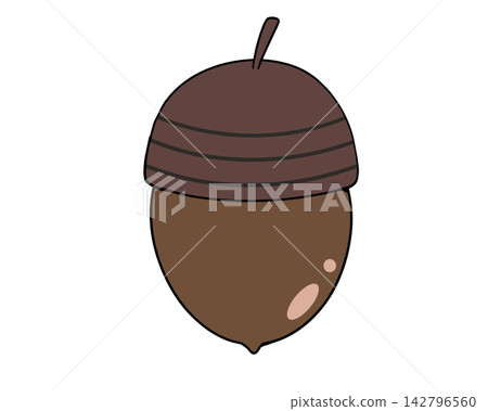 Simple acorn illustration material Simple acorn illustration material 142796560