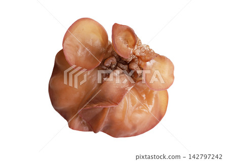 Fresh black fungus mushrooms on a white background. Fresh black fungus mushrooms on a white background. 142797242