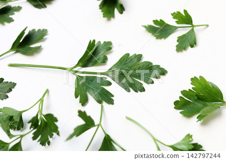 Fresh Italian parsley on white background. Fresh Italian parsley on white background. 142797244