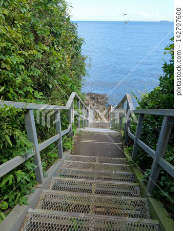 Stairs on Sarushima Island, surrounded by greenery, leading down to the blue sea. Stairs on Sarushima Island, surrounded by greenery, leading down to the blue sea. 142797600