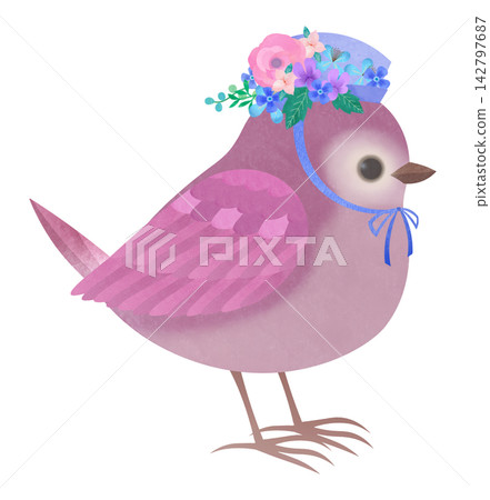 Cute little bird Cute little bird 142797687