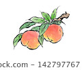 A picture postcard-style illustration of a peach tree. 142797767