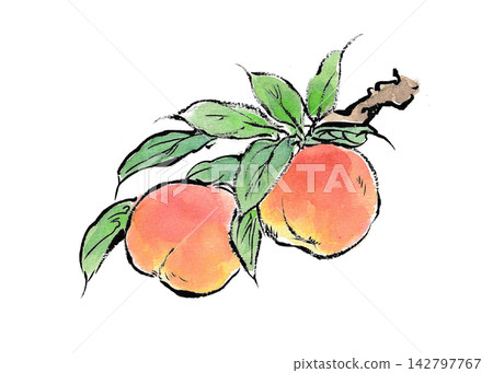 A picture postcard-style illustration of a peach tree. 142797767